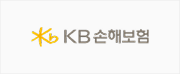 kb 손해보험